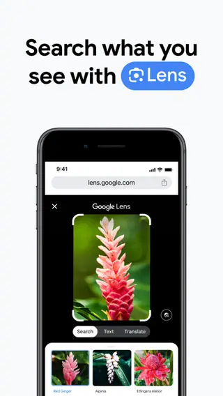 Google Chrome publisher screenshot 2