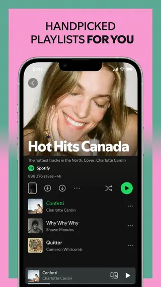 Spotify publisher screenshot 3