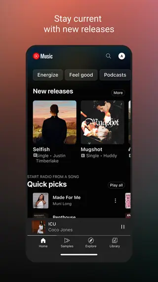 YouTube Music publisher screenshot 3
