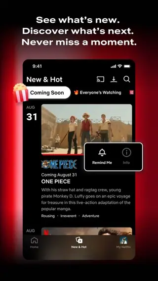 Netflix publisher screenshot 1