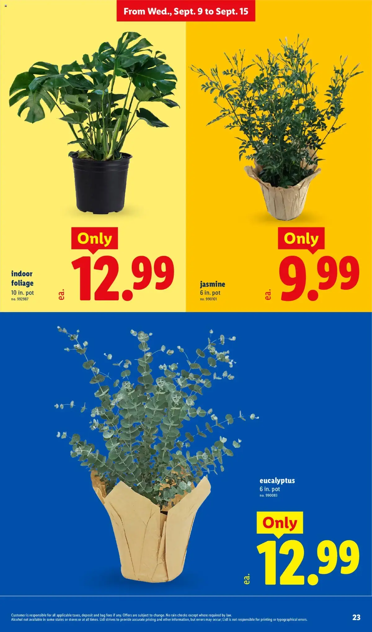 Lidl Weekly Ad, page 23 of 34, valid 09/09/2026 - 09/15/2026 — Indoor, Foliage, Jasmine