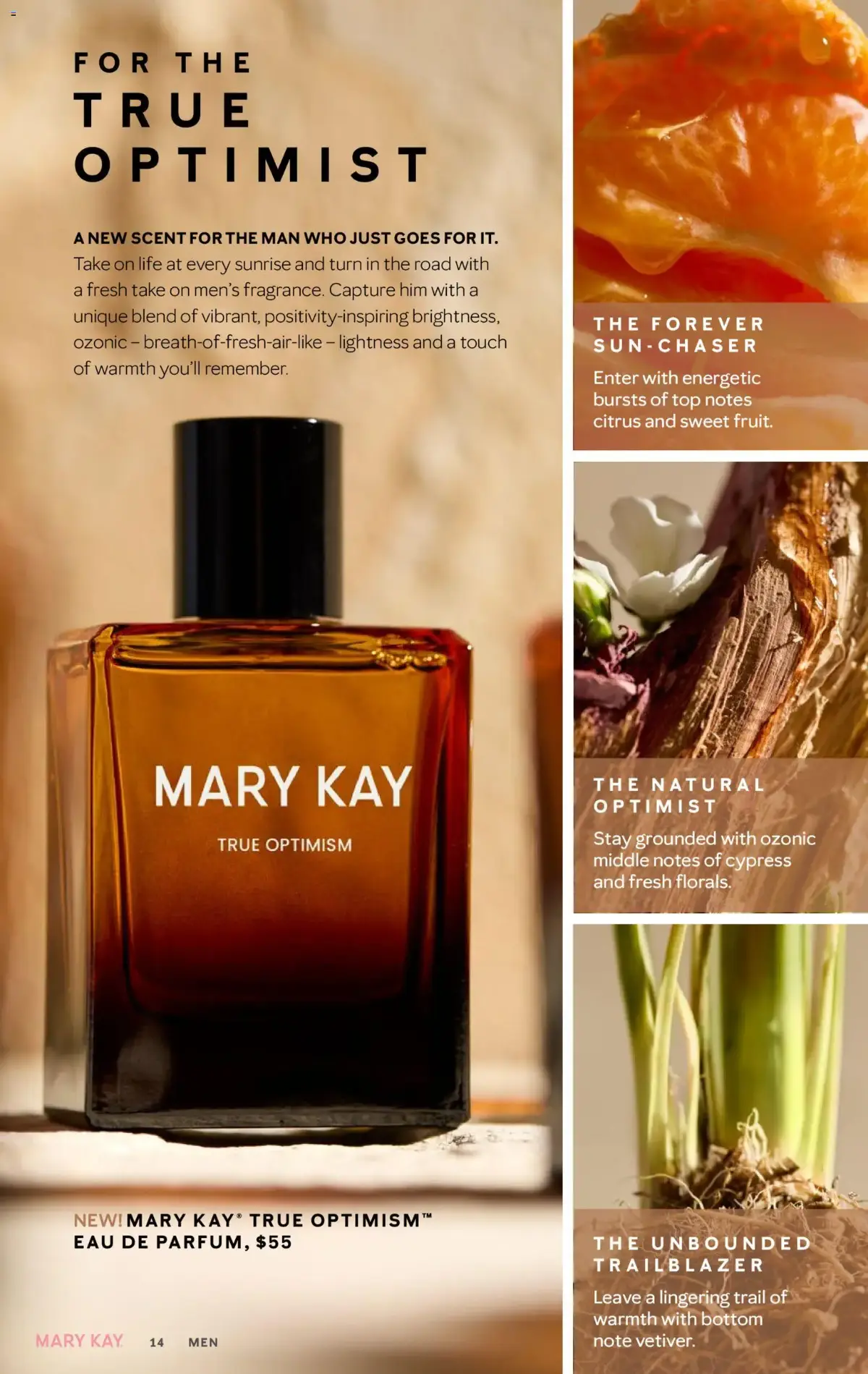 Mary Kay The Look Summer 2026, page 14 of 36, valid 05/16/2026 - 09/16/2026 — Optimist, Top Notes, True Optimism, Notes Cypress