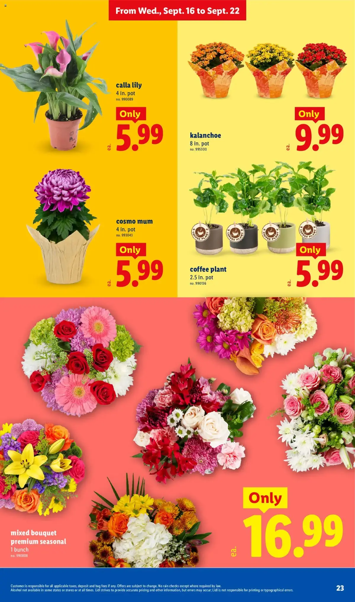 Lidl Weekly Ad, page 23 of 34, valid 09/16/2026 - 09/22/2026