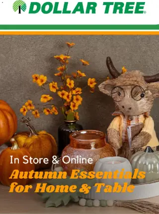 Dollar Tree Weekly Ad from tuesday 09/01/2026 preview, valid 09/01/2026 - End date not supplied
