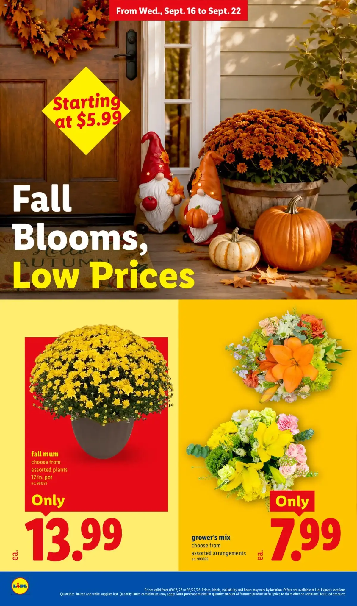 Lidl Weekly Ad, page 22 of 34, valid 09/16/2026 - 09/22/2026