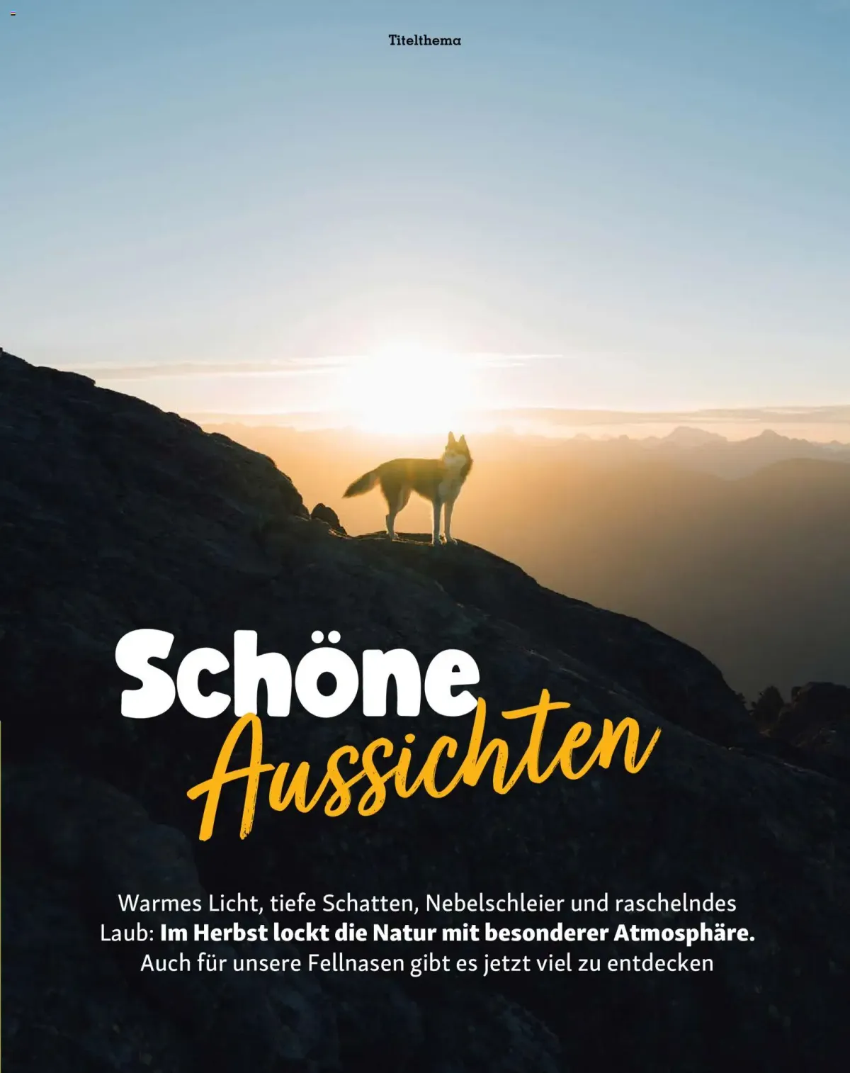 Fressnapf Friends Magazin — Seite 11