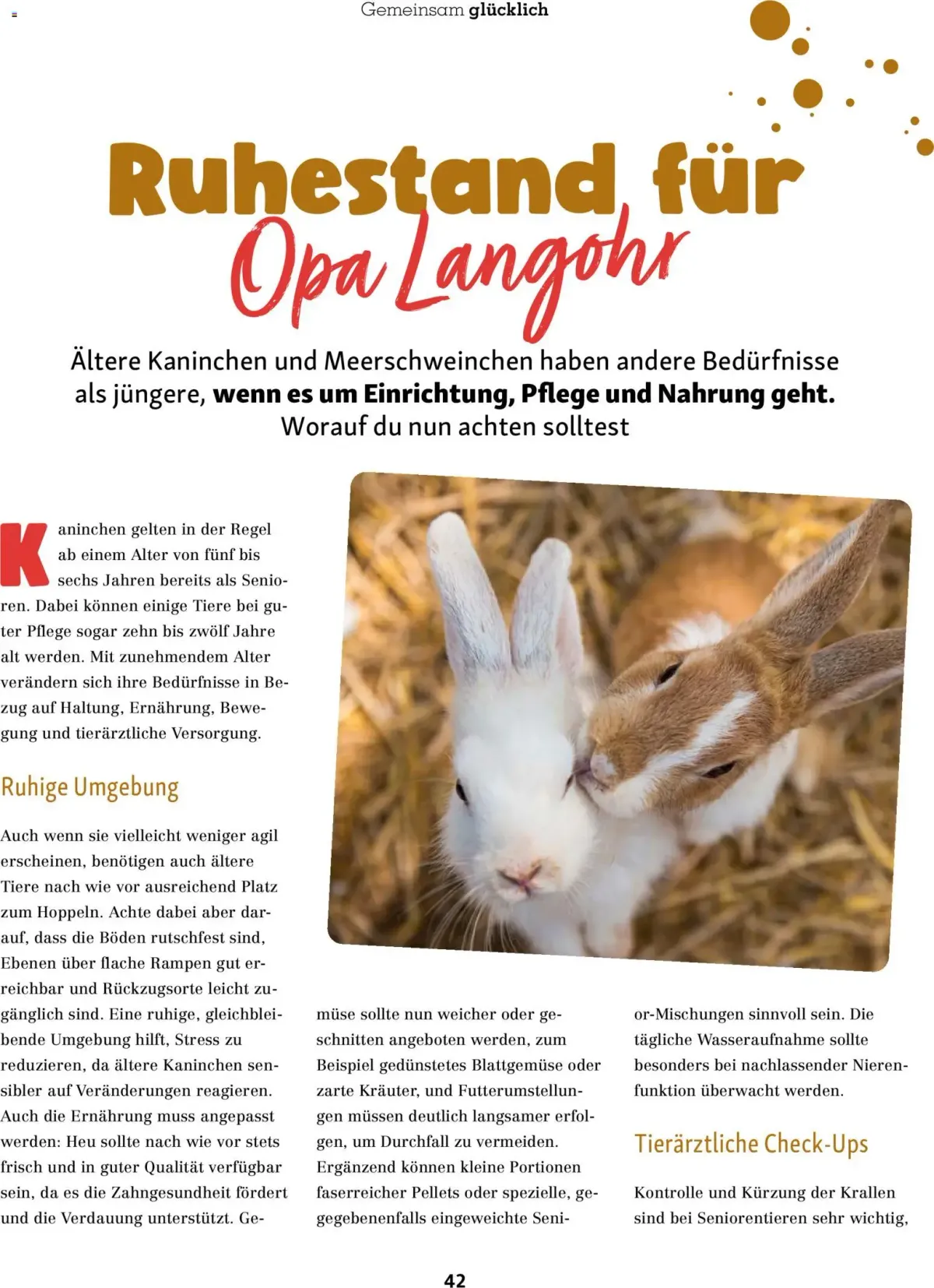 Fressnapf Friends Magazin — Seite 42