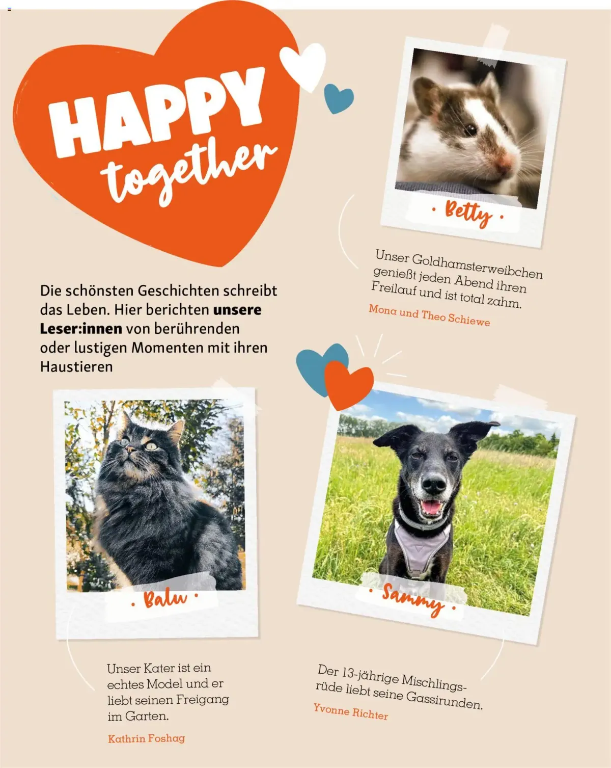 Fressnapf Friends Magazin — Seite 52
