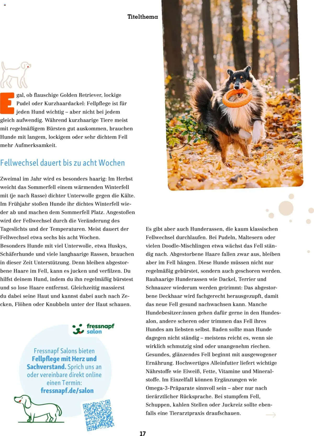 Fressnapf Friends Magazin — Seite 17
