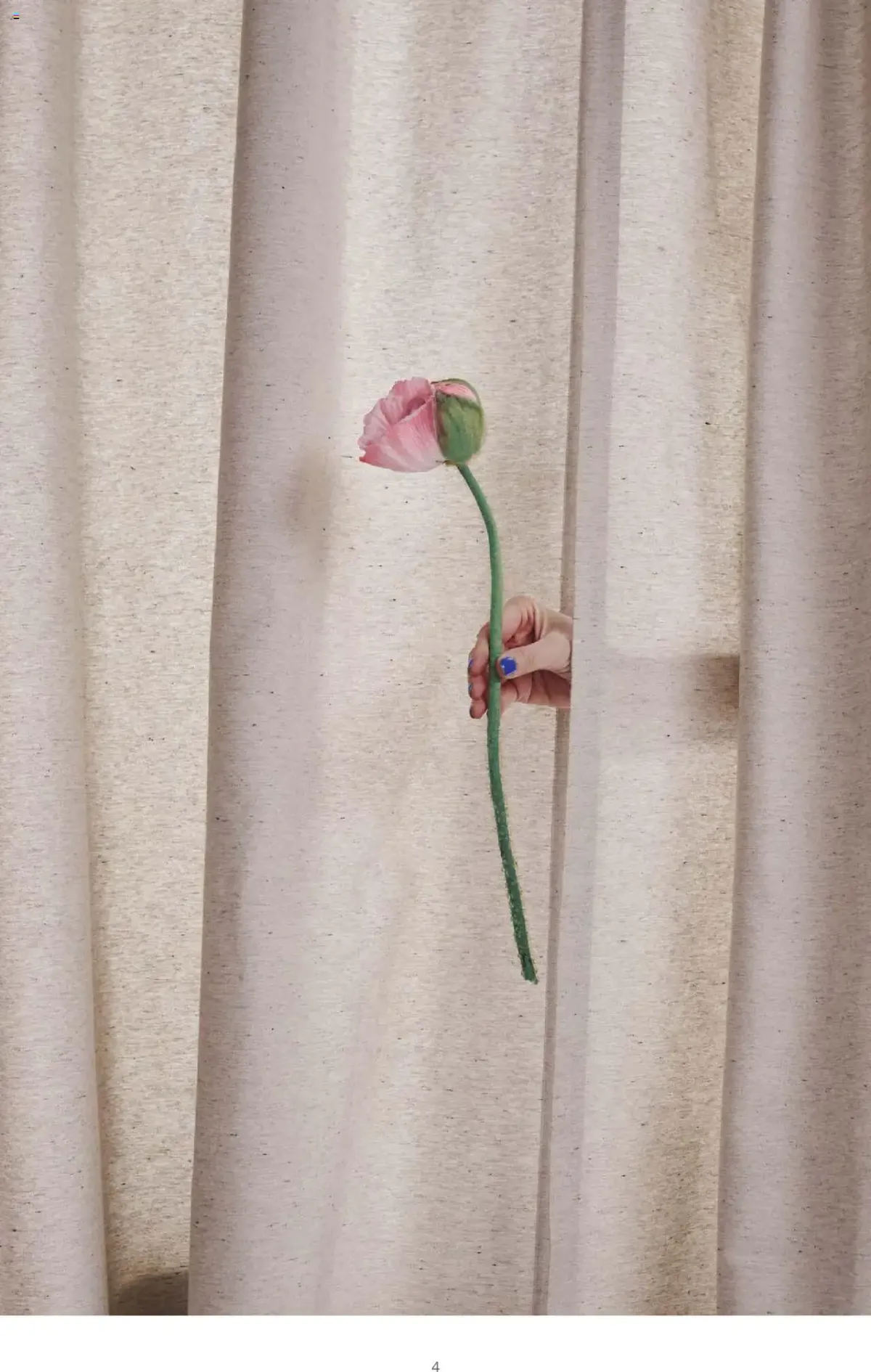 Fenster — Seite 4