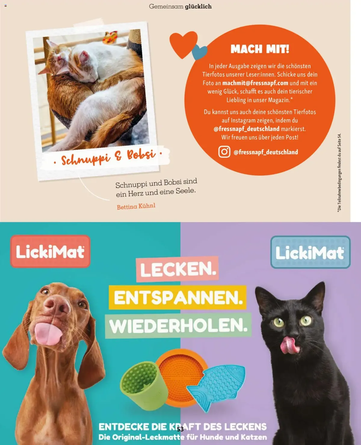 Fressnapf Friends Magazin — Seite 53