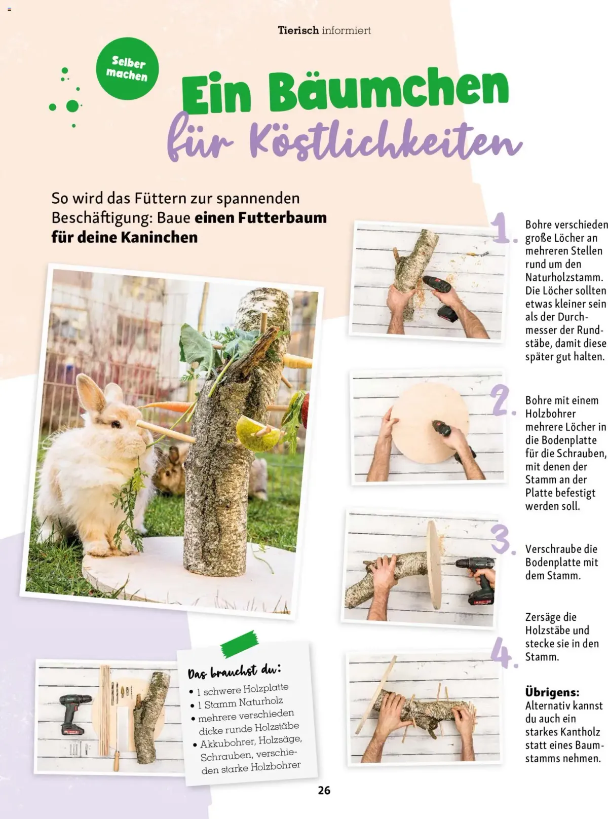 Fressnapf Friends Magazin — Seite 26