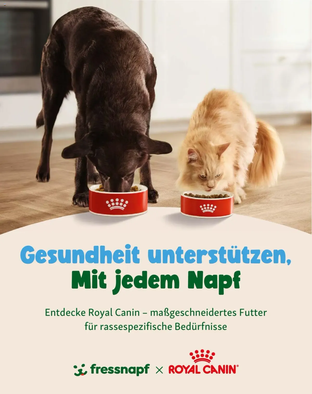 Fressnapf Friends Magazin — Seite 15