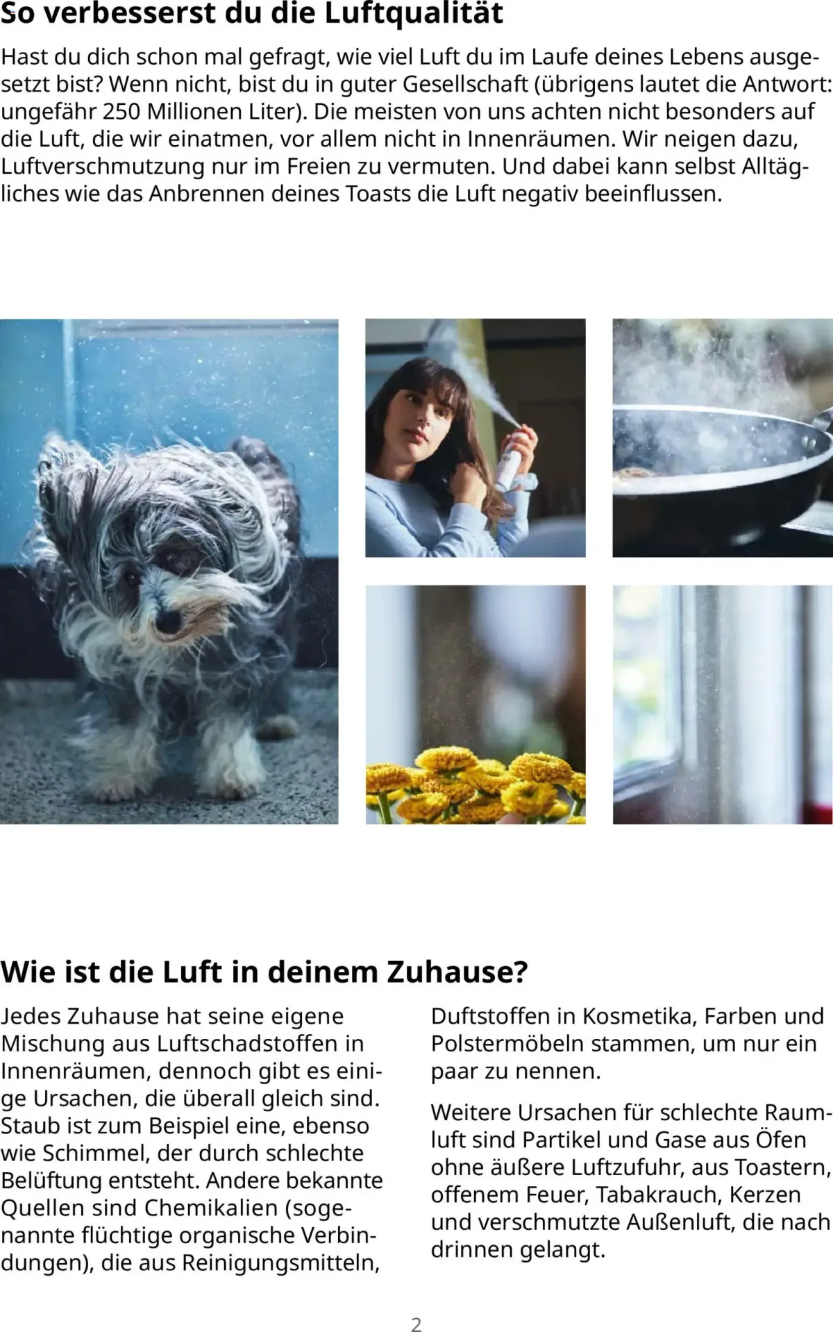 Ikea Bessere Luft in Innenräumen für alle — Seite 2