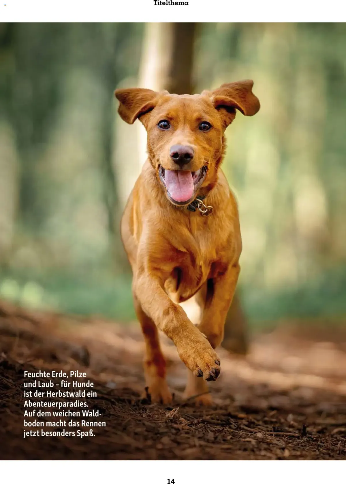 Fressnapf Friends Magazin — Seite 14
